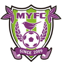 Team Badge