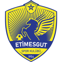 Team Badge