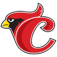 Former team badge icon