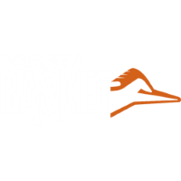 Team Badge