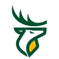 Former team badge icon