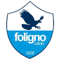 Former team badge icon