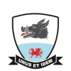 tiny home badge icon