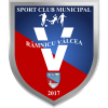 Râmnicu Vâlcea badge