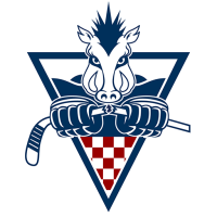 Former team badge icon