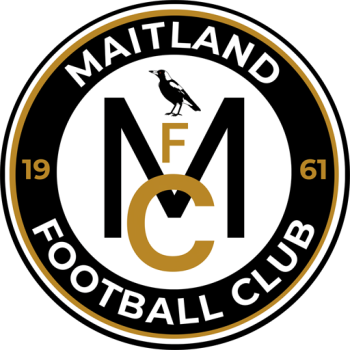away team icon