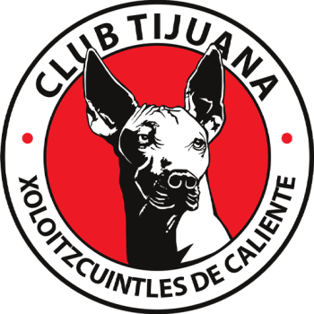 team badge