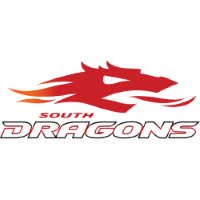 Former team badge icon