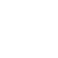 Former team badge icon