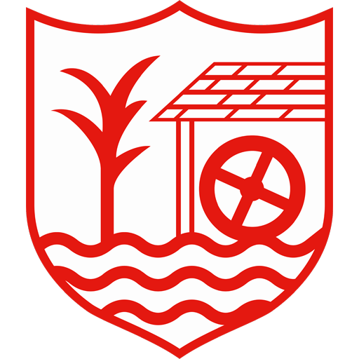 Team Badge icon
