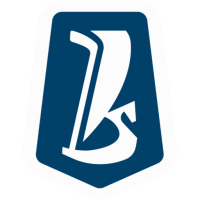 Former team badge icon