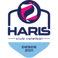 Former team badge icon