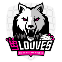 Former team badge icon
