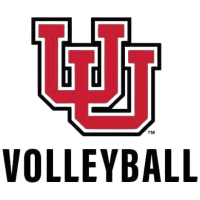 Former team badge icon