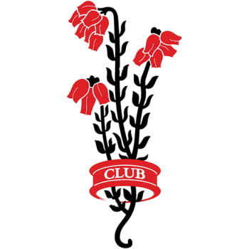 Team Badge