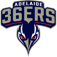 Former team badge icon