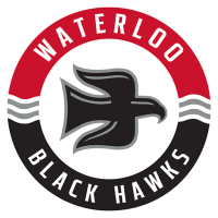 Team Badge