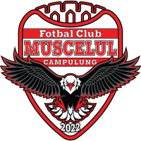 Team Badge