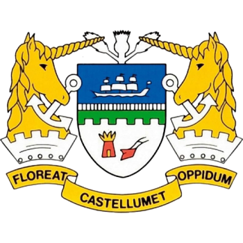 Team Badge