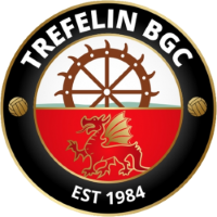 Team Badge