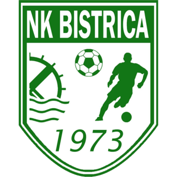 Team Badge