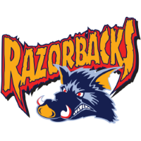 Former team badge icon