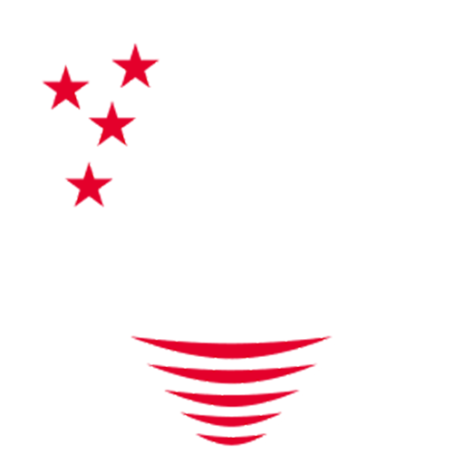 Team Badge icon