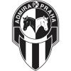 tiny home badge icon