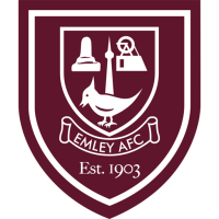 Team Badge