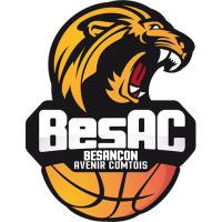 Former team badge icon