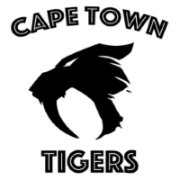 Former team badge icon