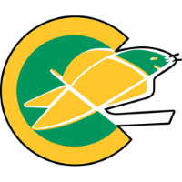 Former team badge icon