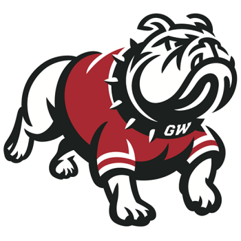 Team Badge