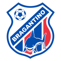 Team Badge