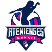 Former team badge icon