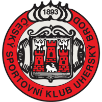 Team Badge