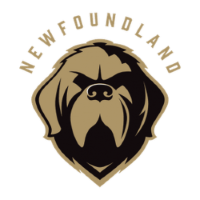 Former team badge icon