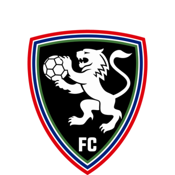 team badge