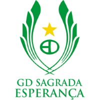 Former team badge icon