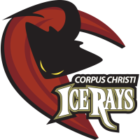 Former team badge icon