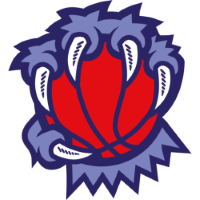 Former team badge icon