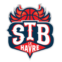 Former team badge icon