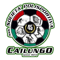 Former team badge icon