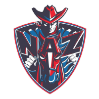 Former team badge icon