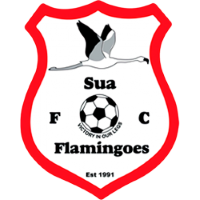 Team Badge