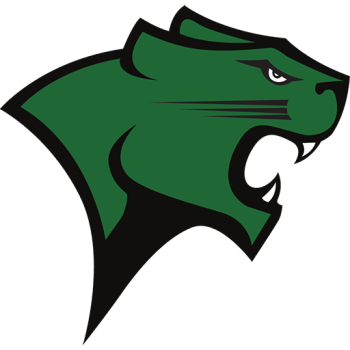 Team Badge