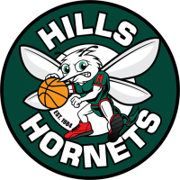 Former team badge icon