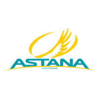 Former team badge icon