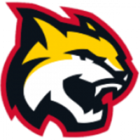 Former team badge icon