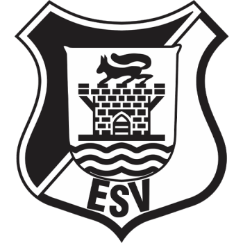 team badge